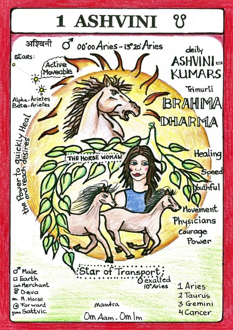 Ashwini Nakshatra, Aquarius Funny, Vedic Astrology Charts, Hindu Vedas, Astro Science, Tantra Art, Authority Figures, Astronomy Constellations, Moon Astrology