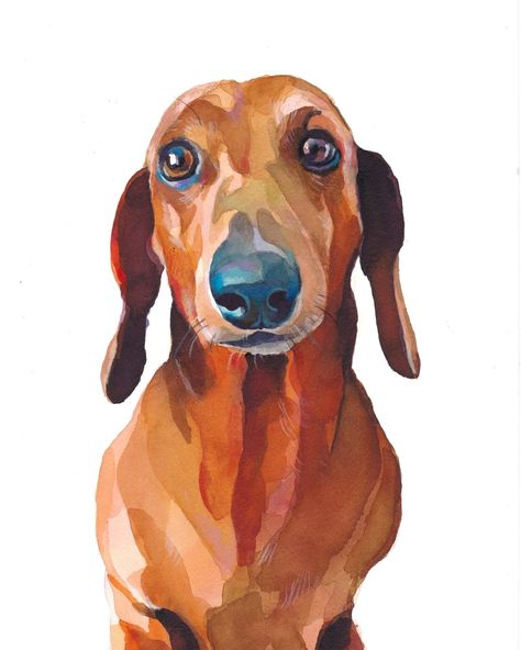 Vintage Dachshund Illustrations, Sausage Dog Painting, Dachshund Paintings, Daschund Illustration, Daschund Art, Dachshund Watercolor, Arte Dachshund, Dachshund Painting, Doxie Art