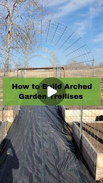 Krista Green | Gardening and Preserving Tips on Instagram: "They are in!  Cattle panel archway trellises.  I am SO excited about these. I have wanted them for years!

Supplies used:
16 foot cattle panels
T posts 
Fencing staples

You can do it too!

#GardeningDIY #Trellis #DIY #GardenTrellis #TrellisArchway #GardenInspiration #GardeningInspiration #GardensOfInstagram #GardenDIY #Trellis #GardenTrellis #TrellisArchway #GardenInspiration #GardeningInspiration #archtrellis #GardensOfInstagram #gardenproject" Diy Garden Archway, Cattle Panel Fence, Shade Trellis, Cattle Panel Trellis, Trellis Diy, Garden Archway, Cattle Panels, Arch Trellis, Diy Trellis