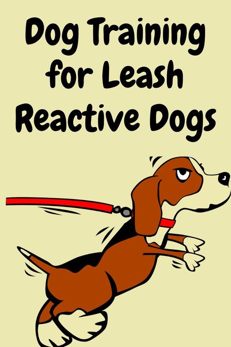 Professional Dog Trainer and Behavioral Specialist, Doggy Dan (owner of the dog training website, TheOnlineDogTrainer.com) has developed a dog training program called, The Dog Calming Code, that’s particularly effective for leash reactivity and leash aggression.  It’s easy to follow and inexpensive.  You don't have to be nervous about walking your dog anymore!

Dog Leash Reactivity | Leash Reactive Dog Training | How to Train a Leash Reactive Dog | Dog Leash Aggression | Leash Aggressive Dog Leash Reactive Dog Training, Dog Reactivity Training, Leash Training A Dog, Dog Training Aesthetic, Reactive Dog Training, Behavioral Specialist, Reactive Dog, Dog Behavior Problems, Leash Training