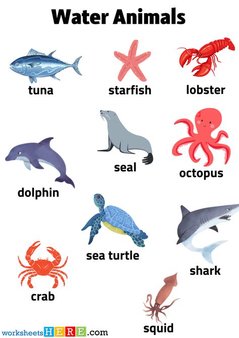 Aquatic Animals Chart, Animals That Live In Water, Water Animals Worksheets For Kids, Animals Live In Water, Animals Name With Picture, Air Animals, Animals Name List, Everyday Speech, Animal Homes