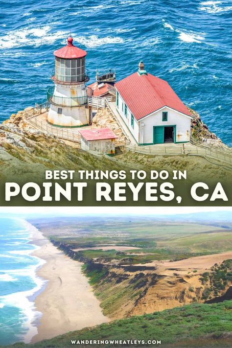 Planning a California vacation? Discover the top things to do in Point Reyes like the top attractions in Point Reyes and the Point Reyes Shipwrek, and more! I what to do in Point Reyes I places to go in California I USA travel I Point Reyes attractions I Point Reyes activities I things to do in California I places near Point Reyes I best time to visit California I how to get to Point Reyes I California road trip I day trips in California I best time to visit Point Reyes | #PointReyes #California Places To Go In California, Cypress Tree Tunnel, Point Reyes California, Point Reyes Lighthouse, Things To Do In California, California Road Trip, Point Reyes National Seashore, Tree Tunnel, American National Parks