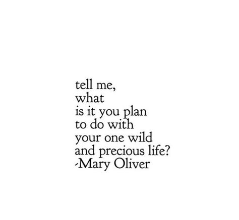 Wild And Precious Life, Kylie Francis, Organized Life, Word Pictures, Some Words, Poetry Quotes, Pretty Words, Great Quotes, Inspirational Words