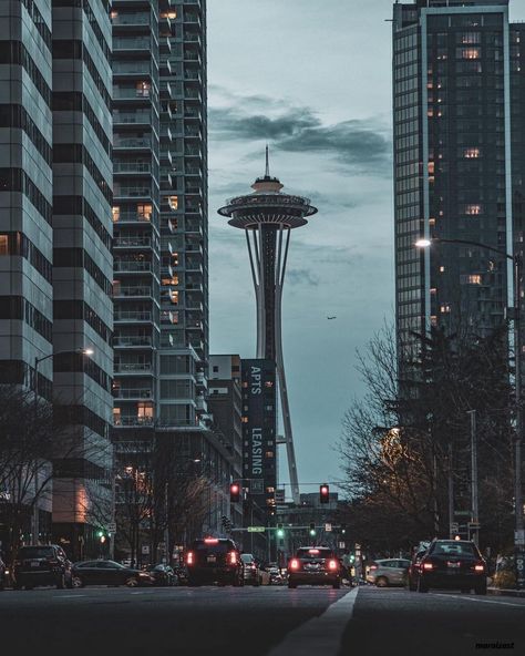 Seattle_Sites on Instagram: “Happy Easter Seattle! Thank you @mariozast ! #repost . Photobombed by a plane but love just walking around the streets of Seattle to find…” Seattle Core, Seattle Life, Seattle Street, Usa Life, City Aesthetics, Seattle Apartment, Cabin Aesthetic, Sleepless In Seattle, City Skylines