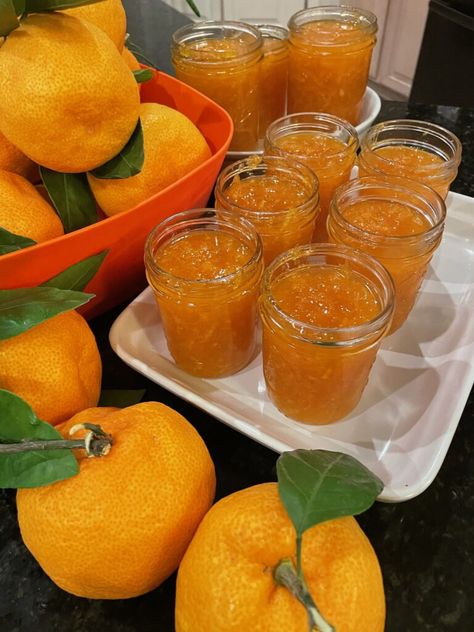 Preserving Mandarin Oranges, Spiced Orange Jam, Satsuma Marmalade Recipes, Satsuma Jelly Recipes, Satsuma Jam Recipe, Satsuma Jelly, Satsuma Recipes, Mandarine Recipes, Homemade Marmalade