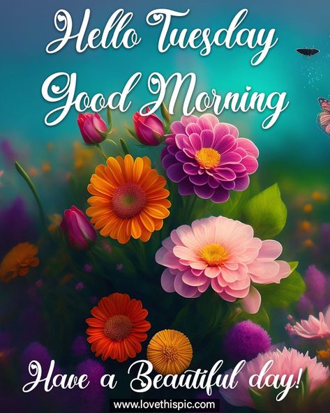 Good Morning It's Tuesday, Have A Beautiful Day Images, Hello Tuesday Mornings, Hello Tuesday Quotes, Good Morning Tuesday Quotes, Monthly Greetings, Tuesday Morning Quotes, Tuesday Morning Wishes, Morning Tuesday Images