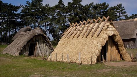 Anglo-Saxon house in West Stow to be pulled down - BBC News Anglo Saxon Houses, Saxon History, Indian House Design, Anglo Saxon History, Sutton Hoo, Ancient Houses, Indian Home Design, Construction Techniques, Bury St Edmunds