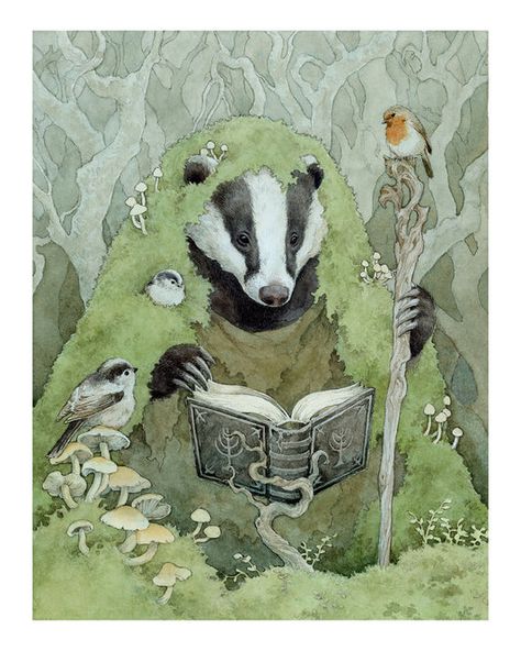 Badger Aesthetic, Badger Drawing, Badger Art, Latest Series, Gallery Website, Fairytale Art, Arte Animal, Art And Illustration, Woodland Creatures