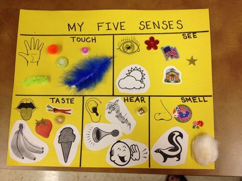 five senses ideas for preschool | 5 Senses Preschool Craft My Amazing Body Preschool Crafts, Five Senses Learning Centers For Preschool, Five Senses Projects For Kids, 5 Sense Crafts For Preschoolers, 5 Senses Craft Kindergarten, 5 Senses Centers Preschool, Five Senses Crafts For Preschool Art Projects, 5 Senses Projects For Kids, Five Senses Crafts For Kindergarten