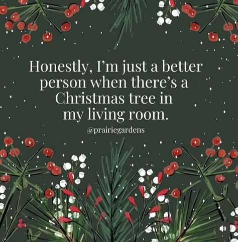 Some Song, Season Quotes, 12 December, Jingle All The Way, Christmas Mood, Christmas Love, Christmas Quotes, Christmas Aesthetic, Christmas Morning