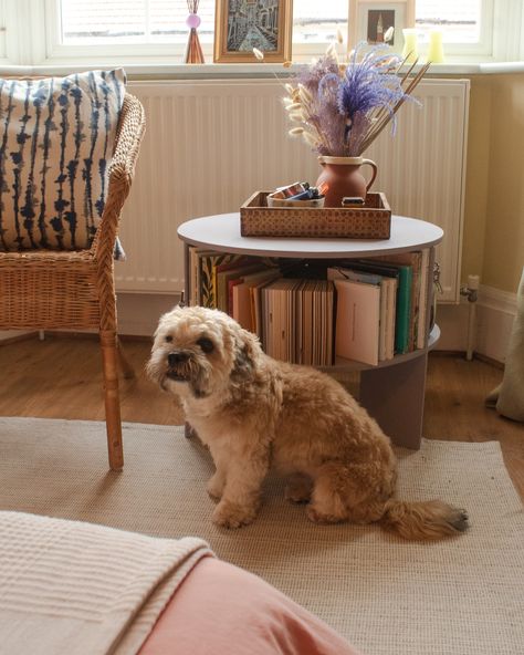 the brightest corner of the room aka the best place to put something colourful to catch those rays 😎 a little self-made bookshelf coffee table moment featuring podge 🥹 #interiordesign #interiordecor #interiorstyling #homedecor #bedroom #londoninteriors #furnituredesign #coffeetable Coffee Table Bookshelf, Table Bookshelf, Self Made, Bookshelves, Interior Styling, The Good Place, Furniture Design, Interior Decorating, Coffee Table