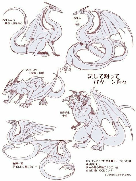 Dragon Poses, Dragon Anatomy, Dragon Sketch, Creature Drawings, Dragon Pictures, 캐릭터 드로잉, Fantasy Creatures Art, Dragon Artwork, Dragon Drawing