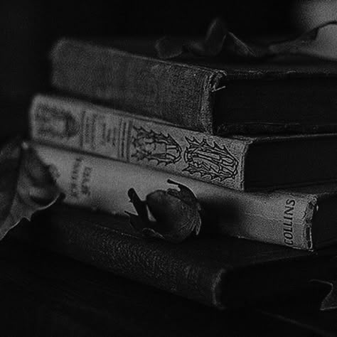 Victorian Book Aesthetic, Gothic Writer Aesthetic, Black Book Aesthetic, Black Academia Aesthetic, Edgar Allan Poe Aesthetic, Edgar Allen Poe Aesthetic, Poe Aesthetic, Gothic Victorian Aesthetic, Victorian Era Aesthetic