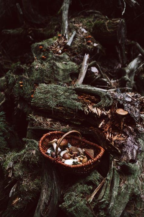 how witchcraft made me a christian – i am anastasia Forest Witch Aesthetic, Green Witch Aesthetic, Dark Naturalism, Goblincore Aesthetic, Dark Witch, Hedge Witch, Dark Cottagecore, Magic Aesthetic, Season Of The Witch