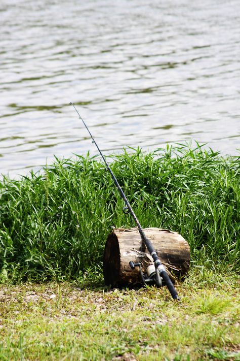 Fishing Fishing Hole, Rural Land, Lake Cabins, Farms Living, River House, Gone Fishing, Best Fishing, Florida Gators, Don't Be Afraid