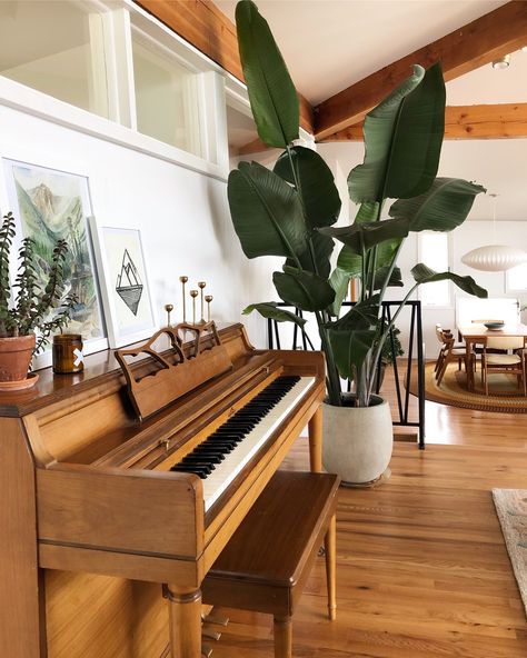 Modern Music Room, Piano Room Decor, Piano Living Rooms, Havenly Living Room, Piano Decor, Mid Century Modern Bedroom, Piano Room, Upright Piano, Mid Century Living