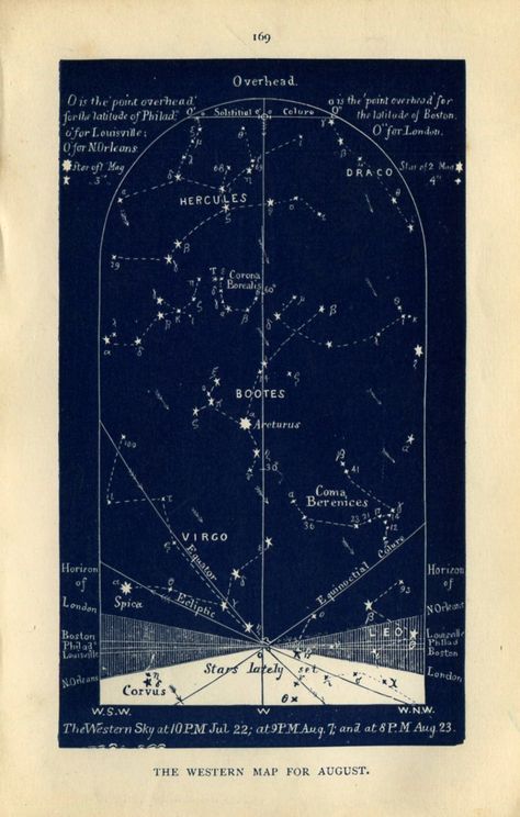 Celestial Chart, Male Elephant, Celestial Map, Vintage Stars, Star Chart, Baba Yaga, All Countries, Star Map, Map Design