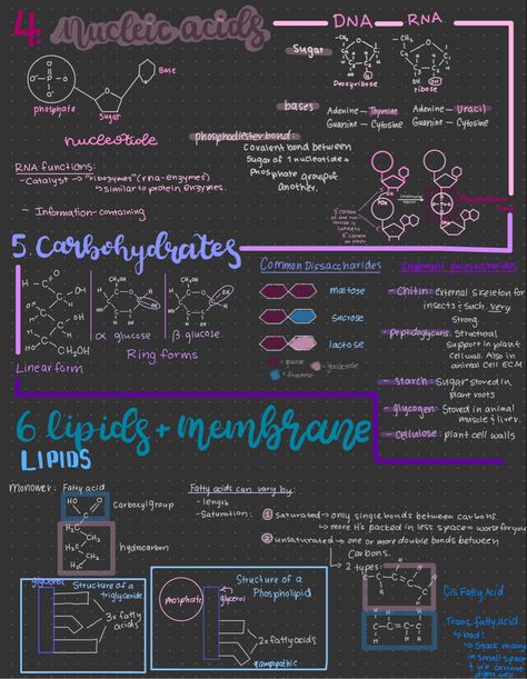 Goodnotes Inspiration, Lab Notebook, Organic Chem, Review Notes, Study Hall, Covalent Bonding, Notes Ideas, Academic Validation, Notes Design