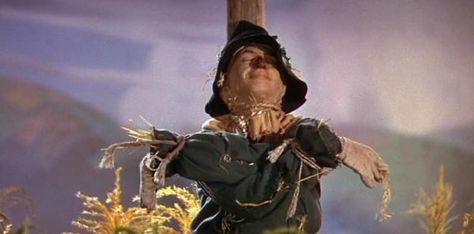 People always ask you for directions. | 22 Problems Only People With Resting Niceface Will Understand Scarecrow Pictures, Scarecrow Wizard Of Oz, Wizard Of Oz Scarecrow, Wizard Oz, Oz Scarecrow, Wizard Of Oz 1939, Creative Arts Therapy, Lemon Drops, Wicked Witch Of The West