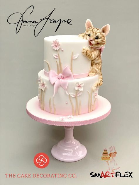 Kitten Cake, Birthday Cake For Cat, Baby First Birthday Cake, Emma Jane, Amazing Desserts, Animal Cakes, Gateaux Cake, Baby Birthday Cakes, Cake Decorating Designs