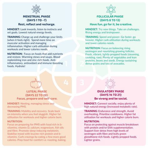 Menstrual Cycle Fasting, Cycle Syncing Timeline, Female Menstrual Cycle, 25 Day Menstrual Cycle, Four Stages Of Menstrual Cycle, 4 Stages Of Menstrual Cycle, Menstrual Phases Workout, 23 Day Menstrual Cycle, Follicular Phase Cycle Syncing