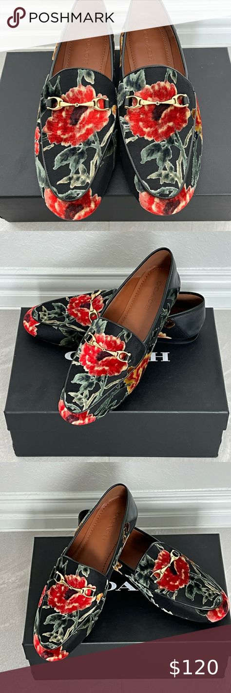 Coach Haley JACQ Loafers Red Arrows, Red Arrow, Coach Shoes, Leather Women, Original Box, Black Leather, Multi Color, Loafers, Womens Sizes