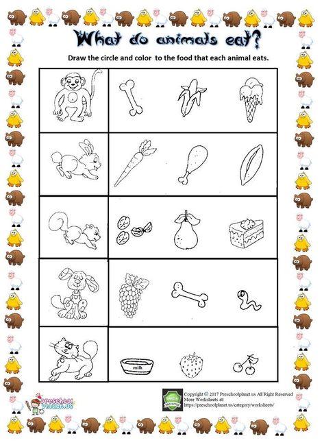 what do animal eat worksheet Needs Of Animals Worksheet, What Do Animals Eat Activities, What Animals Eat Worksheet, Animals Food Worksheet, What Do Animals Eat Worksheets, What Animals Eat, Flower Life Cycle, Wh Questions Activities, Preschool Activity Books