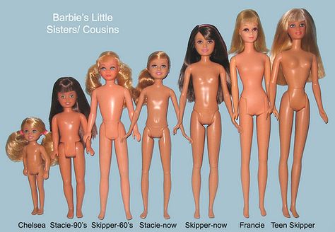 Barbie Sisters & Cousins - Body Size Comparison | I was inte… | Flickr Barbie Facts, Barbie Stacie Doll, Collector Barbies, Body Comparison, Doll Measurements, Old Barbie Dolls, Chelsea Barbie, New Barbie Dolls, Barbie 90s