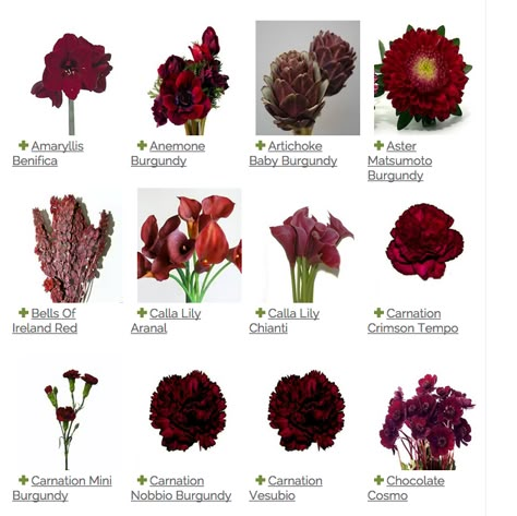 Wine Color Flowers, Wine Colored Flowers For Wedding, Red Wine Flowers, Dark Burgundy Flowers, Dark Red Flowers Wedding, Cabernet Wedding Colors Flowers, Wine Colored Flowers, Maroon Flower Arrangements, Dark Red Wedding Flowers