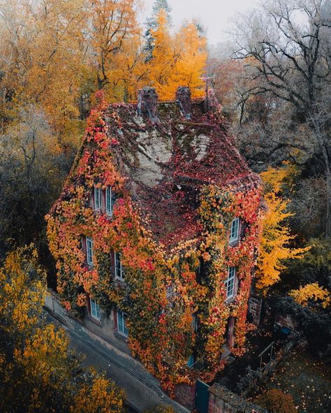 Forest cottage interior