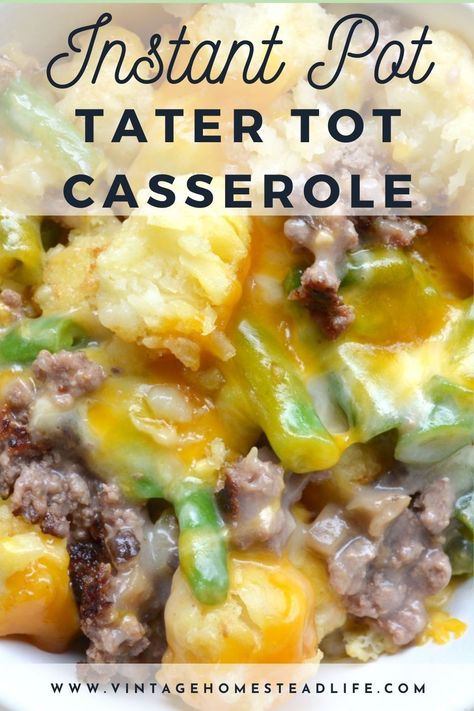 Instant Pot Tater Tot Casserole, Tater Tot Casserole Recipe, Tater Tot Casserole Recipes, Tot Casserole, Dump Meals, Tater Tot Casserole, Best Instant Pot Recipe, Ground Beef Recipes Easy, Tater Tots