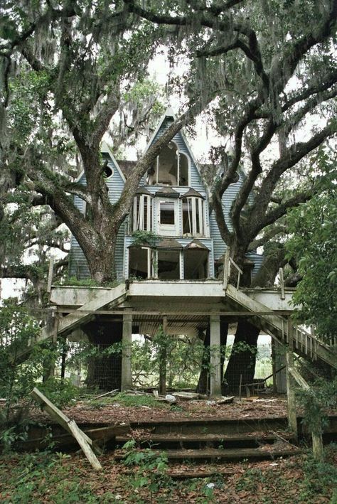 Abandoned house. Would be so cool to renovate and incorporate the trees growing through it! Old Abandoned Houses, Abandoned House, This Old House, Abandoned Mansions, Haunted Places, Abandoned Buildings, Abandoned Houses, Old Buildings, House In The Woods