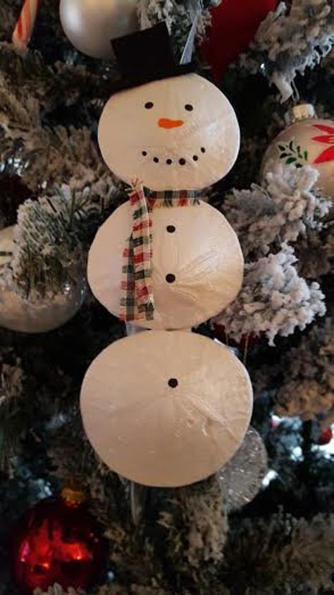 Sandollar Crafts, Seashell Snowman, Zoo Room, Christmas Shells, Sand Snowman, Painted Sand Dollars, Sand Dollar Craft, Sand Dollar Art, Shell Projects