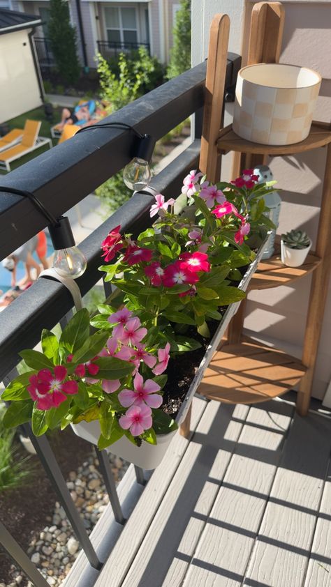 #summer #flowers #balconygarden #balconygardenideas #apartment #flowerboxarrangement Flower Garden Balcony, Apartment Flowers Balcony, Balcony Flowers Apartment, Gardening Balcony, Flowers Balcony, Patio Flowers, Apartment Vibes, House Balcony, Balcony Flowers