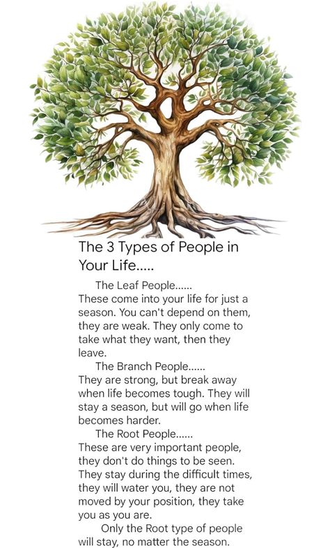 Tree Of Life Quotes Wisdom, Tree Of Wisdom, Wise Inspirational Quotes, Life Choices Quotes, Choices Quotes, Postive Life Quotes, Moral Stories, Memories Quotes, Types Of People