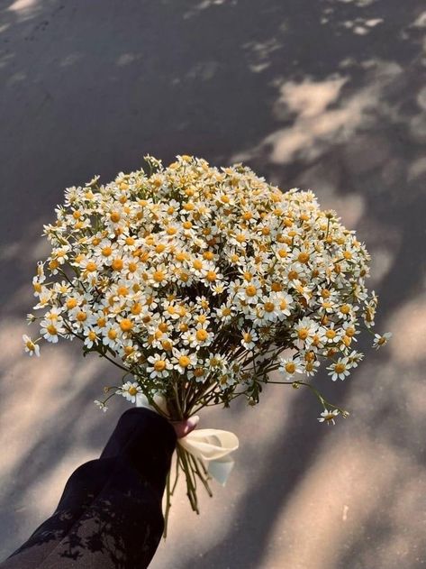 Boquette Flowers, Nothing But Flowers, Flower Therapy, Beautiful Bouquet Of Flowers, Photography Wallpaper, Jolie Photo, Beautiful Bouquet, Flowers Nature, Flower Pictures