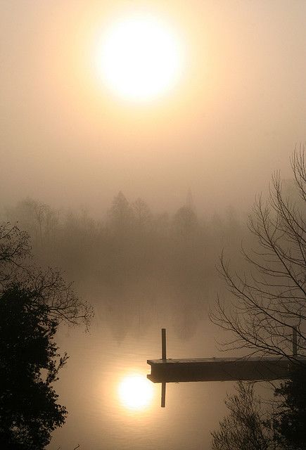 Misty Morning - Cooper River Misty Morning, Helen Keller, Lake George, Beautiful Picture, Pics Art, Charleston Sc, Beautiful Photography, Sunrise Sunset, Beautiful World