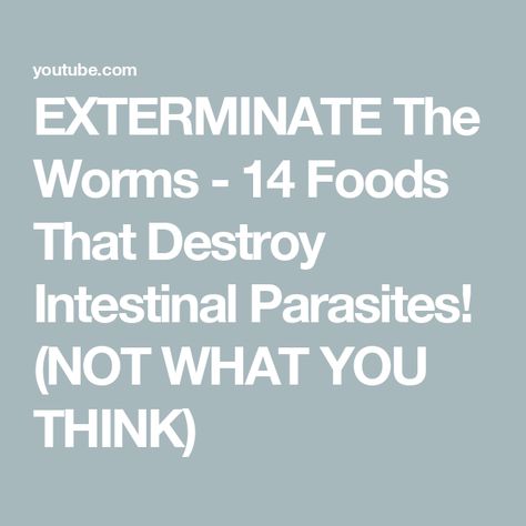 EXTERMINATE The Worms - 14 Foods That Destroy Intestinal Parasites! (NOT WHAT YOU THINK) Parasitic Worms, Intestinal Parasites, Health Remedies, What You Think, Health Tips, Diving, You Think, Thinking Of You, Health