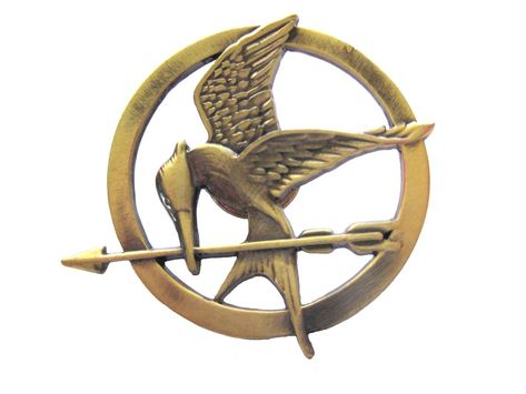 21 Hunger Games Gifts Even the Mockingjay Would Fight For: The Hunger Games phenomenon continues to be at a fever pitch with Mockingjay coming out later this month. Hunger Games Mockingjay Pin, Hunger Games Costumes, Katniss Everdeen Hunger Games, The Hunger Games Movie, Hunger Games Costume, Hunger Games Pin, Mockingjay Pin, Hunger Games Movie, Orishas Yoruba