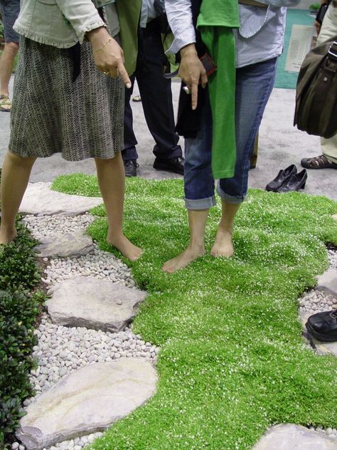 Stepables Top 10 plants a grassy replacement for walkways and small areas - soft and cool to the touch and the more they get stepped on the more they thrive! Have Inspiration, For Sale By Owner, Garden Yard Ideas, Ground Cover, Lawn And Garden, Garden Paths, Dream Garden, Backyard Garden, Garden Projects