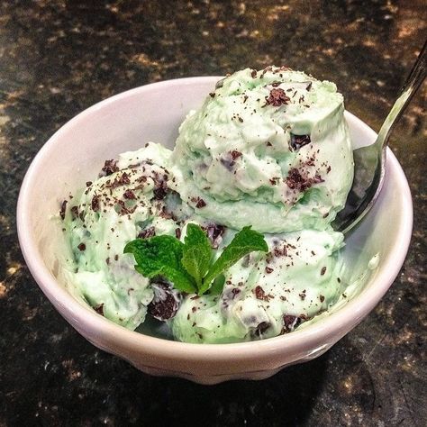 Protein Frozen Yogurt, Mint Chocolate Chip Ice Cream Recipe, Healthy Frozen Yogurt, Ripped Recipes, Frozen Greek Yogurt, Frozen Yogurt Recipes, Chocolate Yogurt, Mint Chocolate Chip Ice Cream, Yogurt Ice Cream