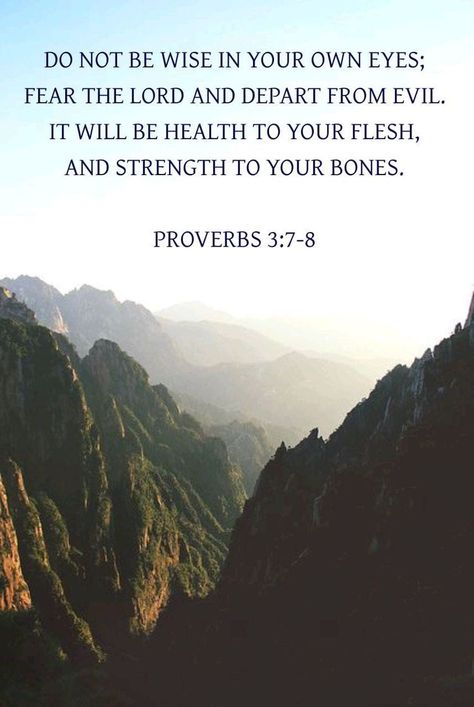 Proverbs 3: 7-8, Deny Your Flesh, Proverbs 3 7, Evil Bible, 2023 Word, Fear The Lord, Proverbs 8, Proverbs 23, God's Plans