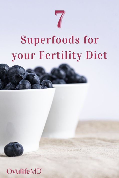 Top 7 Superfoods for your Fertility Diet - Learn what makes a great fertility food, how to pick the best superfoods for your fertility diet, and the difference between fertility supplements and superfoods. | OvulifeMD Keto For Fertility, Ttc Foods To Eat, Ttc Meals, Fertility Diet Meal Plan, Male Fertility Boost, Ttc Diet, Fertility Diet Recipes, Fertility Diet Plan, Fertility Food