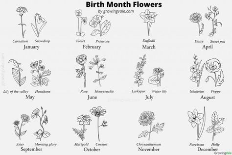 Birth Flowers By Month: Which Plants Represent Your Birthday? - GrowingVale May And July Flower Tattoo, April And November Flower Tattoo, Birthday Flowers By Month Tattoos, Tattoos That Represent Your Kids, Mother Daughter Tattoos Flowers, Birthday Month Flowers Tattoo, Kids Birth Flower Tattoo Ideas, Birth Flower Line Drawing, Birthday Flowers By Month