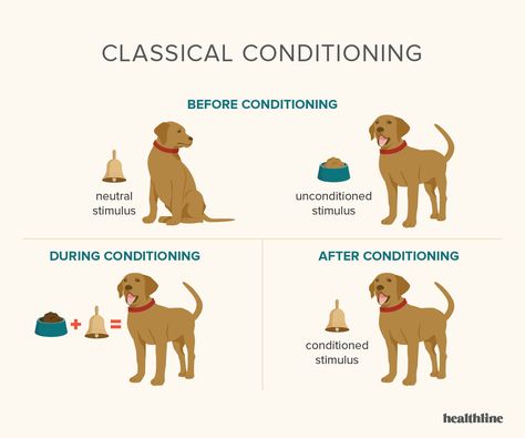 Classical Conditioning: How It Works and How It Can Be Applied Classical Conditioning Psychology, Classical Conditioning, Social Learning Theory, Types Of Mental Health, Operant Conditioning, Psychology Notes, Conceptual Framework, Sleep Early, Dog Training Advice