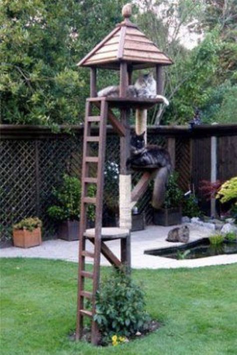 Outdoor Cat Tree, Cat Playground Outdoor, Katt Grejer, Chat Diy, Cat Patio, Outdoor Cat Enclosure, Cat House Diy, Cat Proofing, Cat Towers