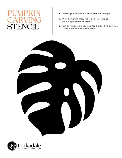 Flower Pumpkin Carving Stencils, Plant Pumpkin Carving, Godzilla Pumpkin Stencil, Hibiscus Pumpkin Carving, Tarot Card Pumpkin Carving, Monstera Stencil, Monstera Plant, Sheet Of Paper, Pumpkin Carving