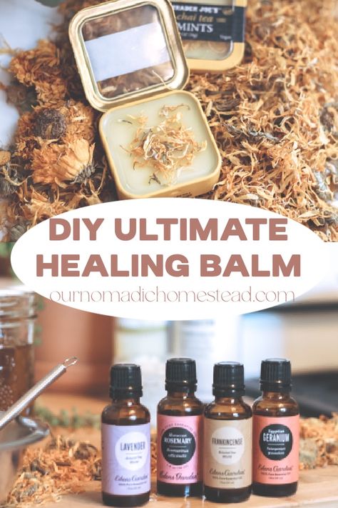 DIY Ultimate Healing Balm - Our Nomadic Homestead Diy Healing Balm, Natural Wound Care, Antibiotic Ointment, Herb Shop, Emu Oil, Healing Balm, Calendula Flower, Infused Olive Oil, Magic Recipe