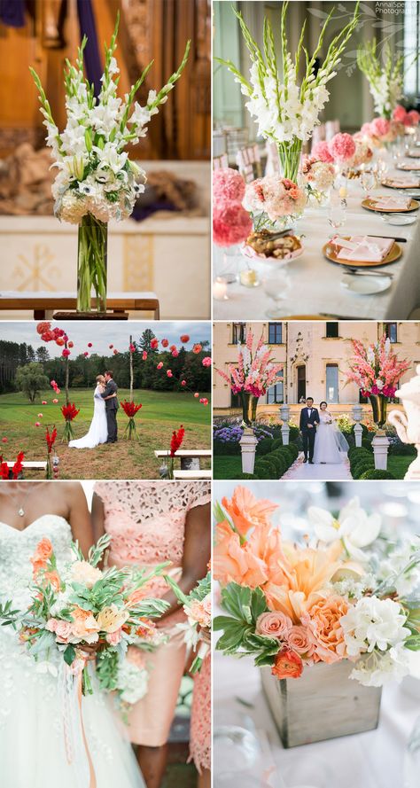 Gladiolus Flower Wedding, Gladiolus Wedding Centerpiece, Gladiolus Flower Bouquet Wedding, Wedding Gladiolus, Gladiolus Flower Arrangements, White Gladiolus Wedding, Gladiolus Wedding Bouquet, Gladiolus Wedding, Gladiolus Bouquet