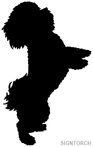 Dog Siluette, Bichon Havanais, Canada Images, Labrador Retriever Puppies, Silhouette Stencil, Animal Silhouette, Dog Silhouette, Silhouette Art, Bichon Frise